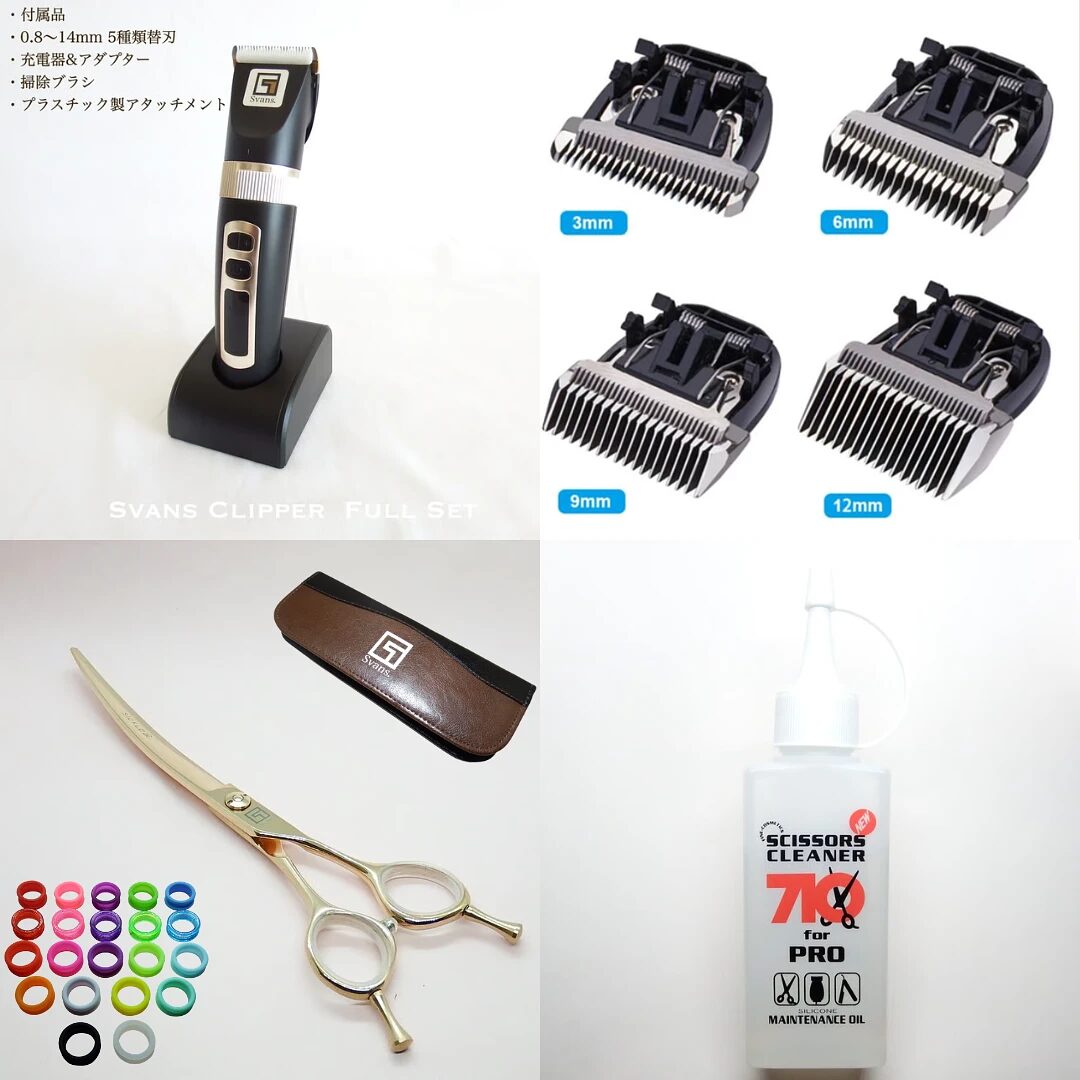 スバンスオンラインくじA賞