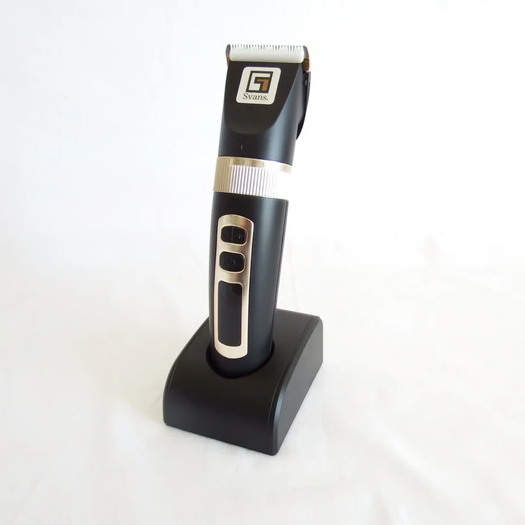 スバンスオンラインくじC賞